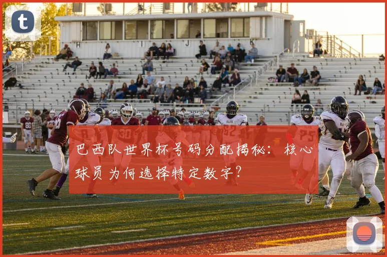巴西队世界杯号码分配揭秘：核心球员为何选择特定数字？