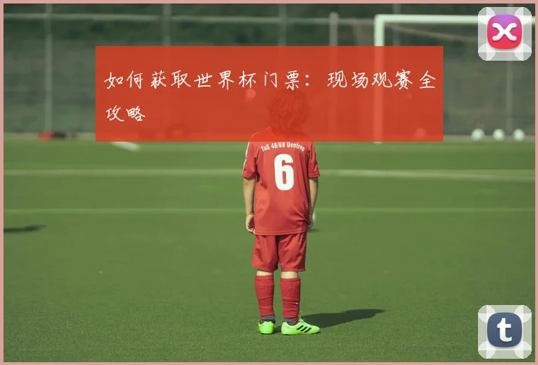 如何获取世界杯门票:现场观赛全攻略