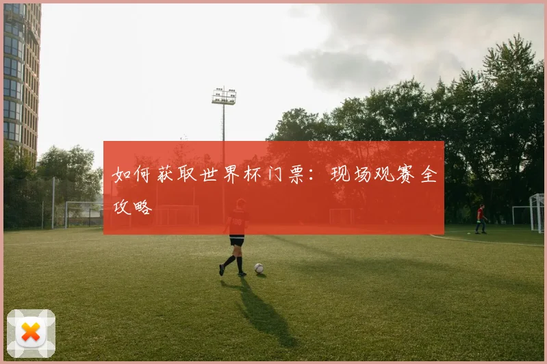 如何获取世界杯门票：现场观赛全攻略