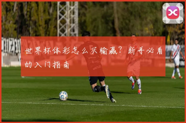 世界杯体彩怎么买输赢?新手必看的入门指南