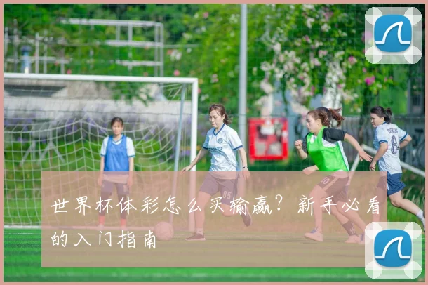 世界杯体彩怎么买输赢?新手必看的入门指南