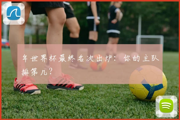 年世界杯最终名次出炉：你的主队排第几？